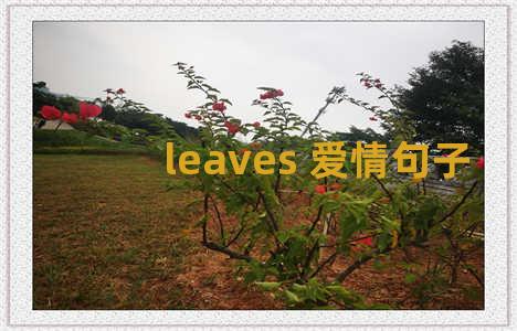 leaves 爱情句子